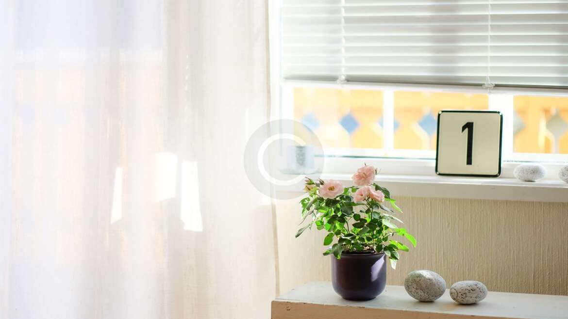 Blinds Tailored to Your Needs