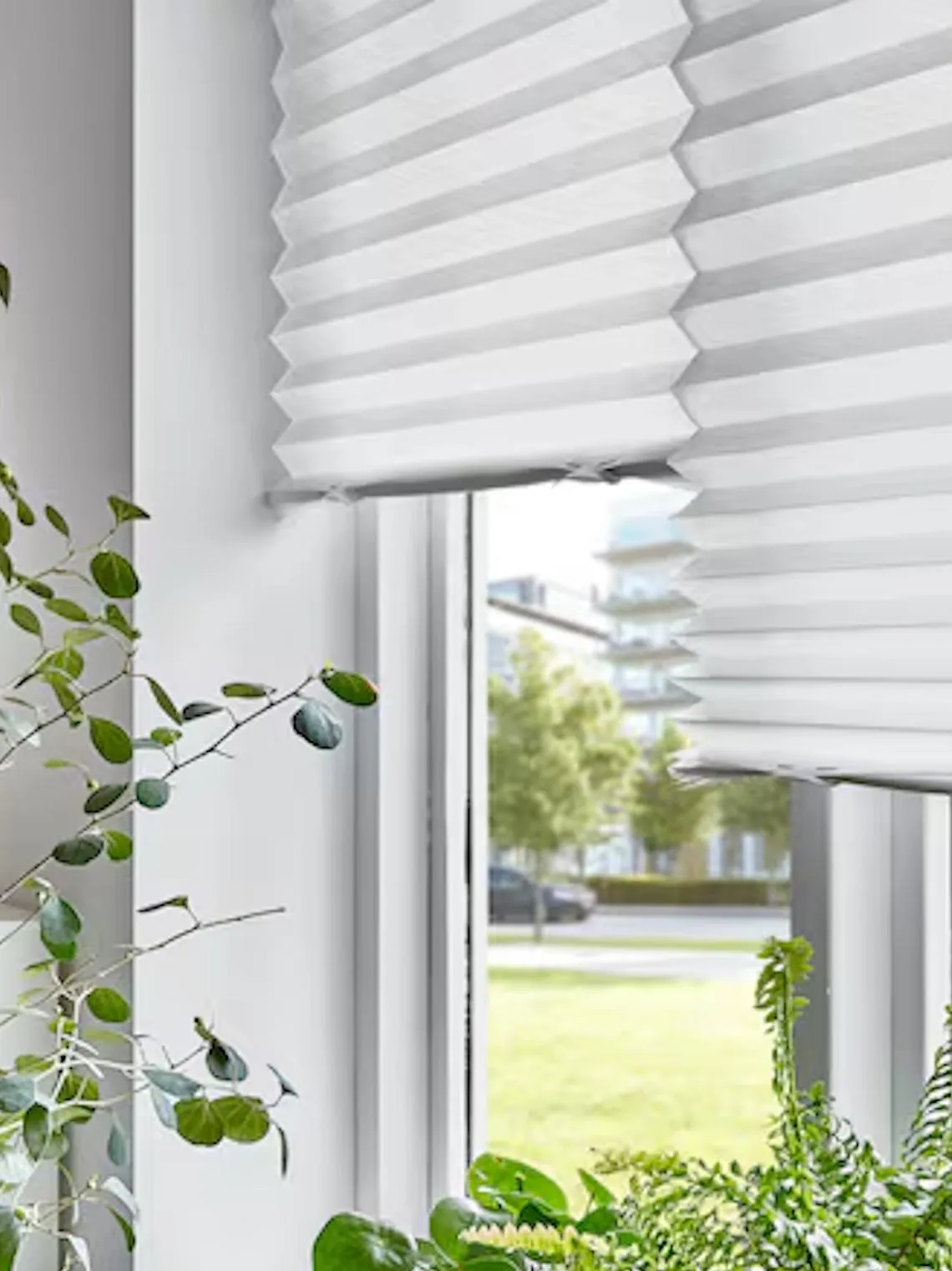 Pleated Blinds